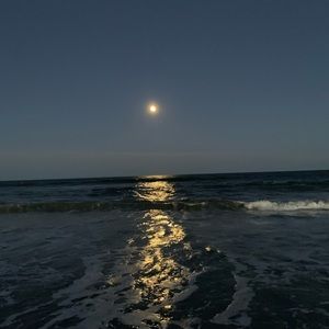 Meet your Posher, Rein